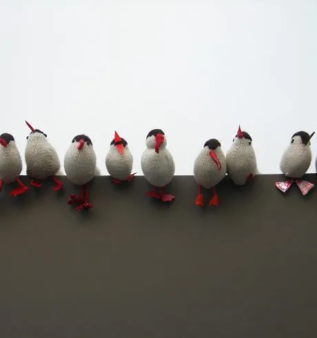 A cheerful line of knitted mini oystercatchers is lined up on a wall. One has feet made of Tunnocks teacake paper.