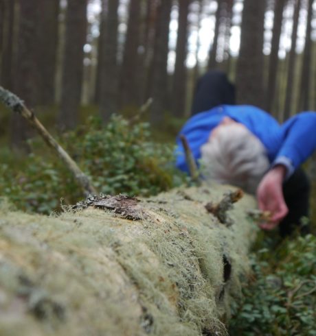 A woman with grey hair wearing a blue top lies on her back on a fallen log in the forest.